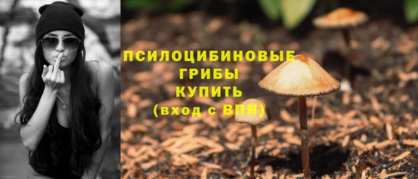 СК Новозыбков