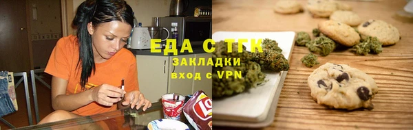 СК Новозыбков