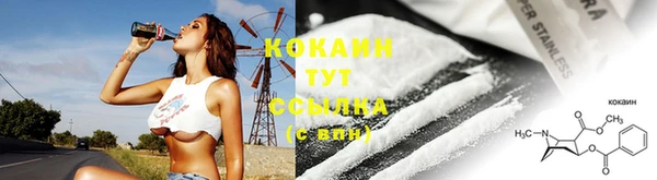 СК Новозыбков