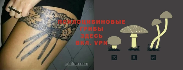 MESCALINE Новодвинск