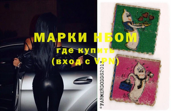 СК Новозыбков
