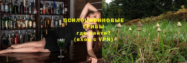 MESCALINE Новодвинск