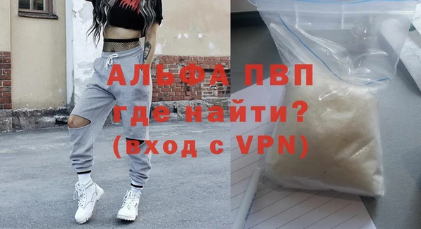 СК Новозыбков