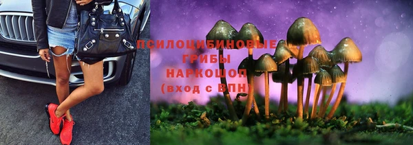 MESCALINE Новодвинск