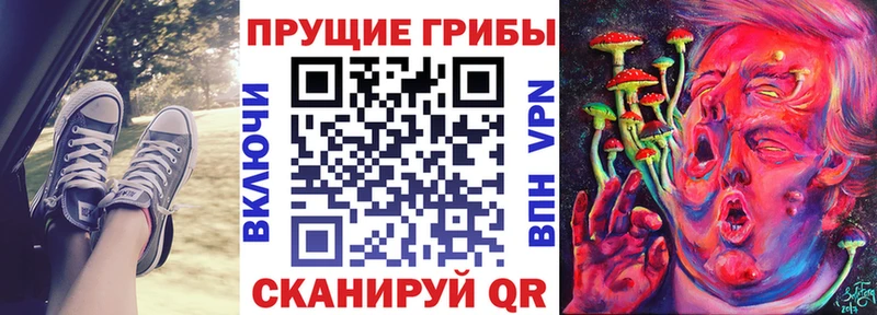Псилоцибиновые грибы мухоморы  OMG tor  Оханск 